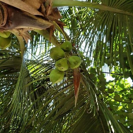 Tiwi Beach Resort & Spa Момбаса Экстерьер фото