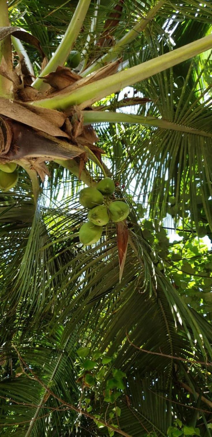 Tiwi Beach Resort & Spa Момбаса Экстерьер фото